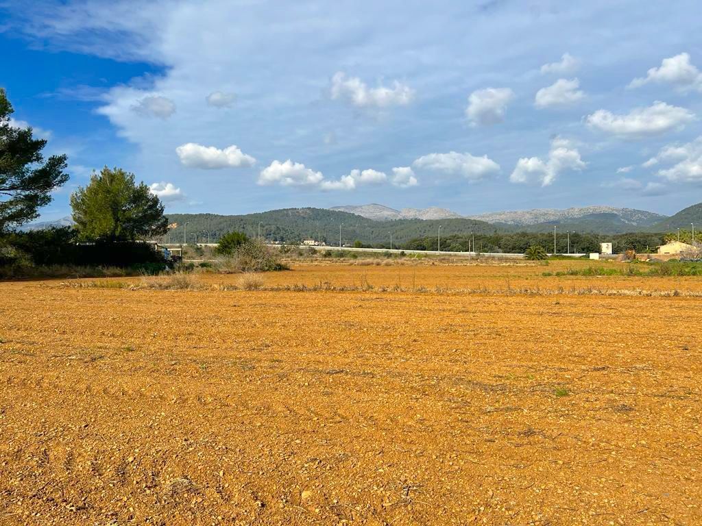 Terreno de 41.000 m2 en Sa Pobla