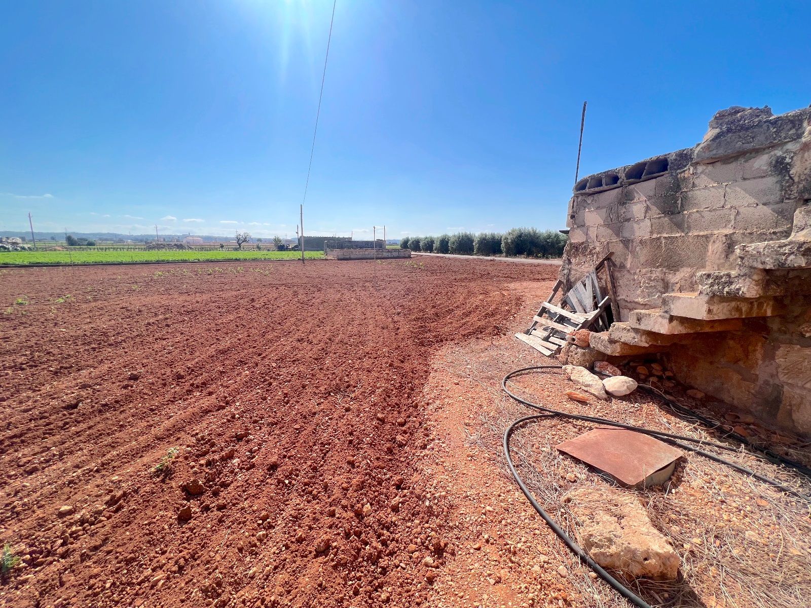 Terreno de 14.318 m2 en Sa Pobla con luz y agua