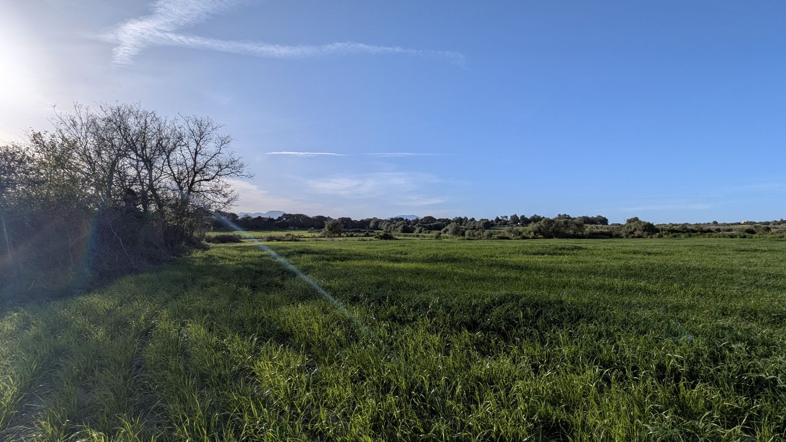 Terreno de 15.250 m2 en Muro con vistas a la Tramuntana
