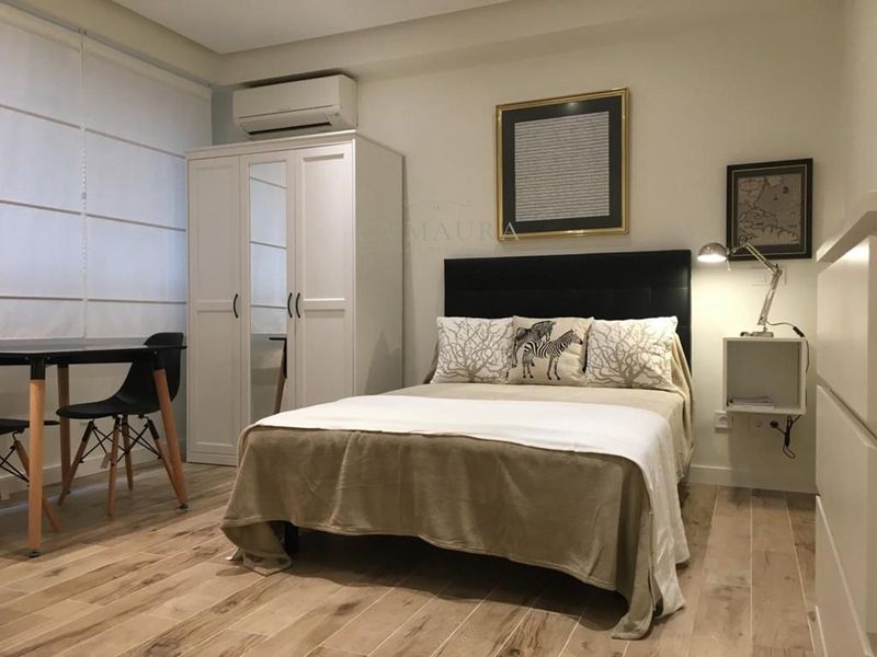Studio for rent Madrid. Ref: 1094. Ca Maura
