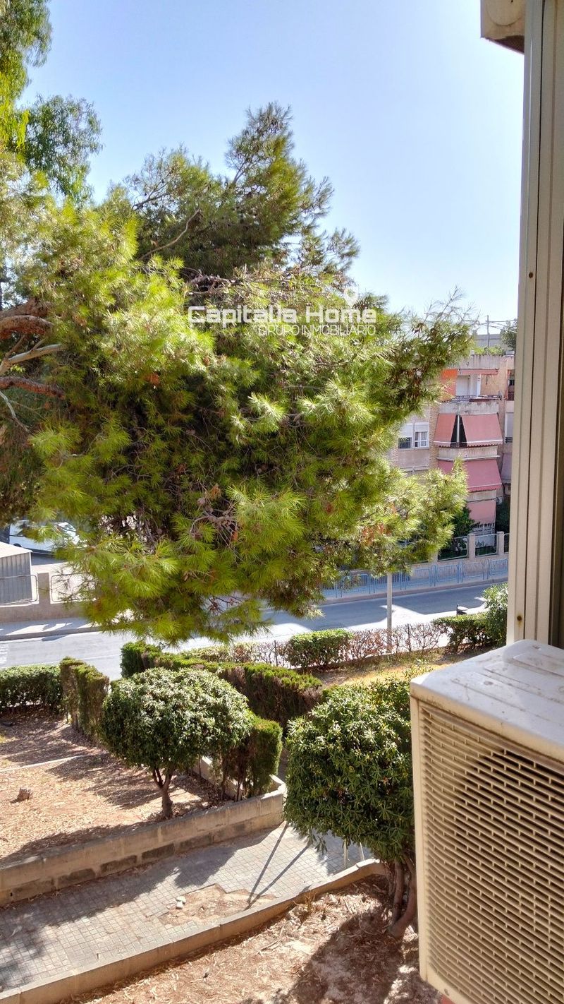 Piso en venta Alicante/Alacant, Alicante. Ref: 1312. Capitalia Home