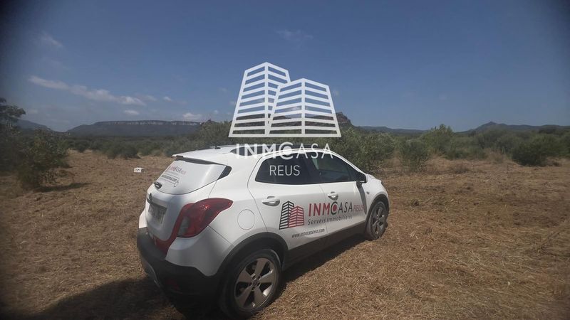 Parcela en venta Mont-Roig Del Camp, Tarragona. Ref: 1015. Inmocasa Reus