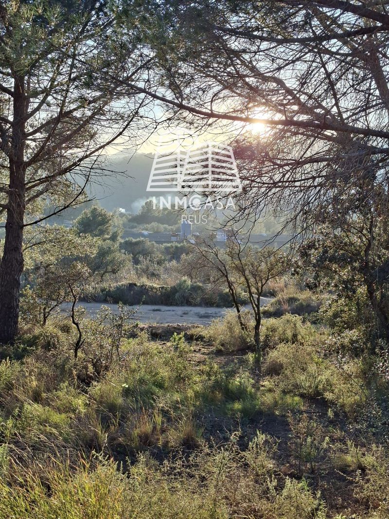 Parcela en venta Les Borges del Camp, Tarragona. Ref: 1116. Inmocasa Reus