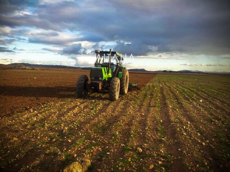 Plot for sale Santo Domingo De Moya, Cuenca. Ref: 4034. ALTALIA