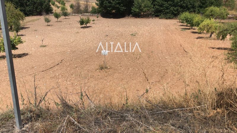 Parcela en venta Villalba Del Rey, Cuenca. Ref: 5206. ALTALIA