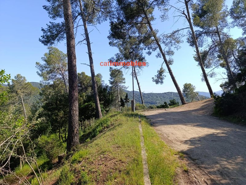 Parcela en venta Molins De Rei, Barcelona. Ref: 1030. Catimmobles