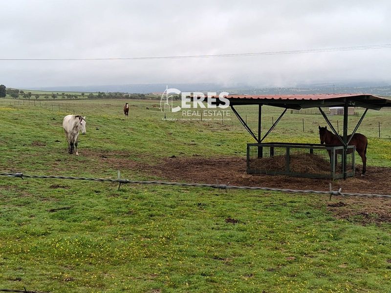 Parcela en venta Casar De Caceres, Cáceres. Ref: 1152. Ceres Real Estate