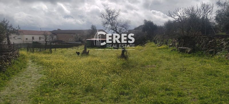 Parcela en venta Aldea Del Cano, Cáceres. Ref: 1176. Ceres Real Estate