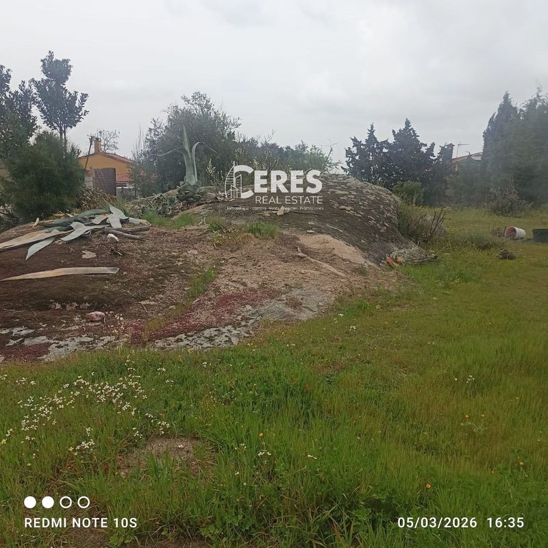 Parcela en venta Malpartida De Caceres, Cáceres. Ref: 1182. Ceres Real Estate