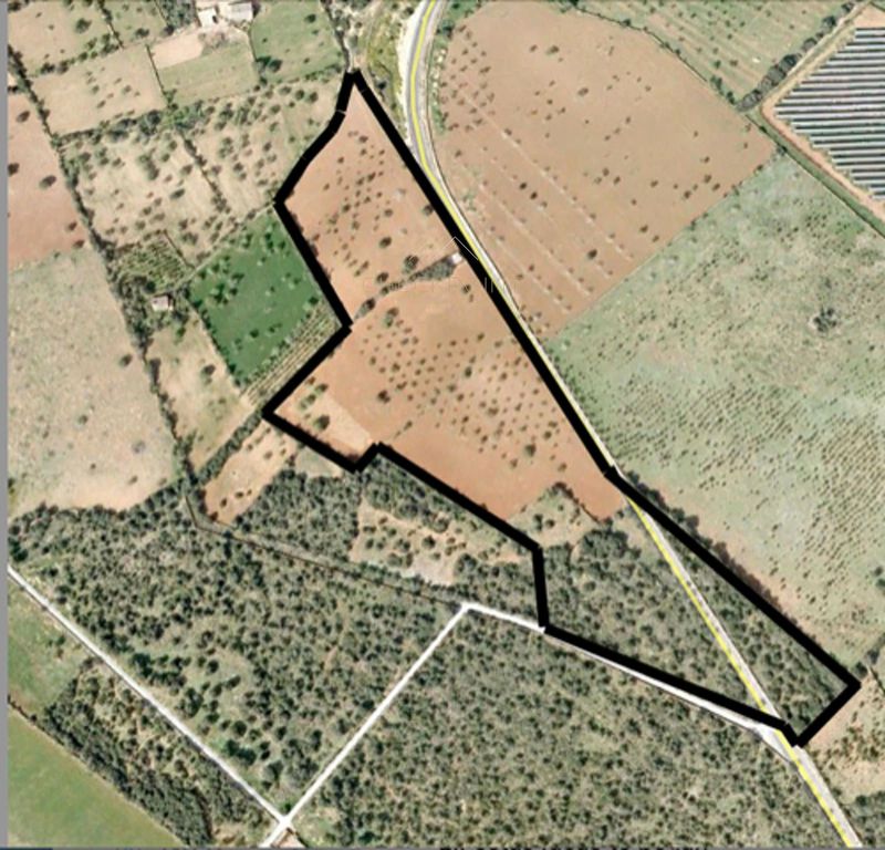 Parcela en venta Llucmajor, Baleares. Ref: 1026. Checkpoint Inmo