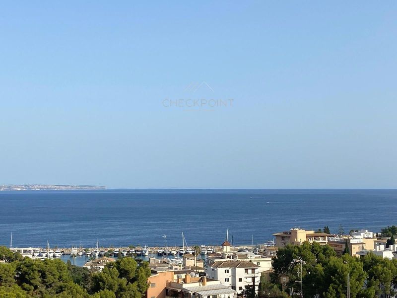 Chalet Independiente en alquiler Palma De Mallorca, Baleares. Ref: 1063. Checkpoint Inmo