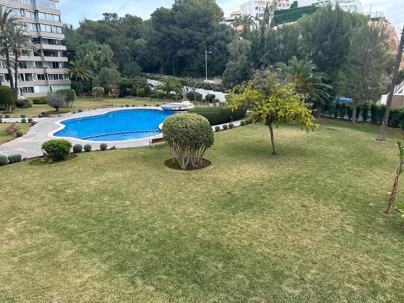 Piso en alquiler Portals Nous, Baleares. Ref: 1072. Checkpoint Inmo