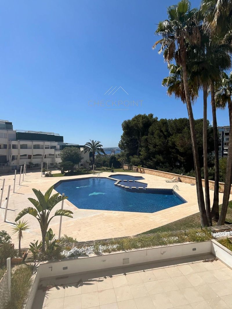 Piso en venta y alquiler Portals Nous, Baleares. Ref: 1084. Checkpoint Inmo