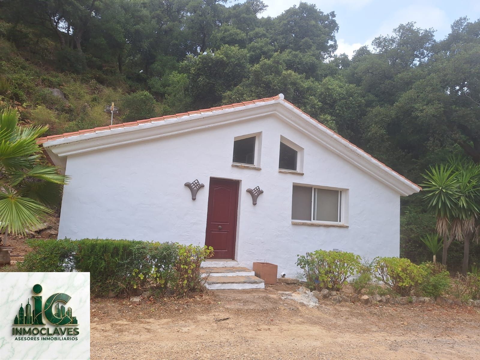 🌿 Finca ÚNICA en Benaharás — ¡Una oportunidad irrepetible! 🌿 - Foto 2