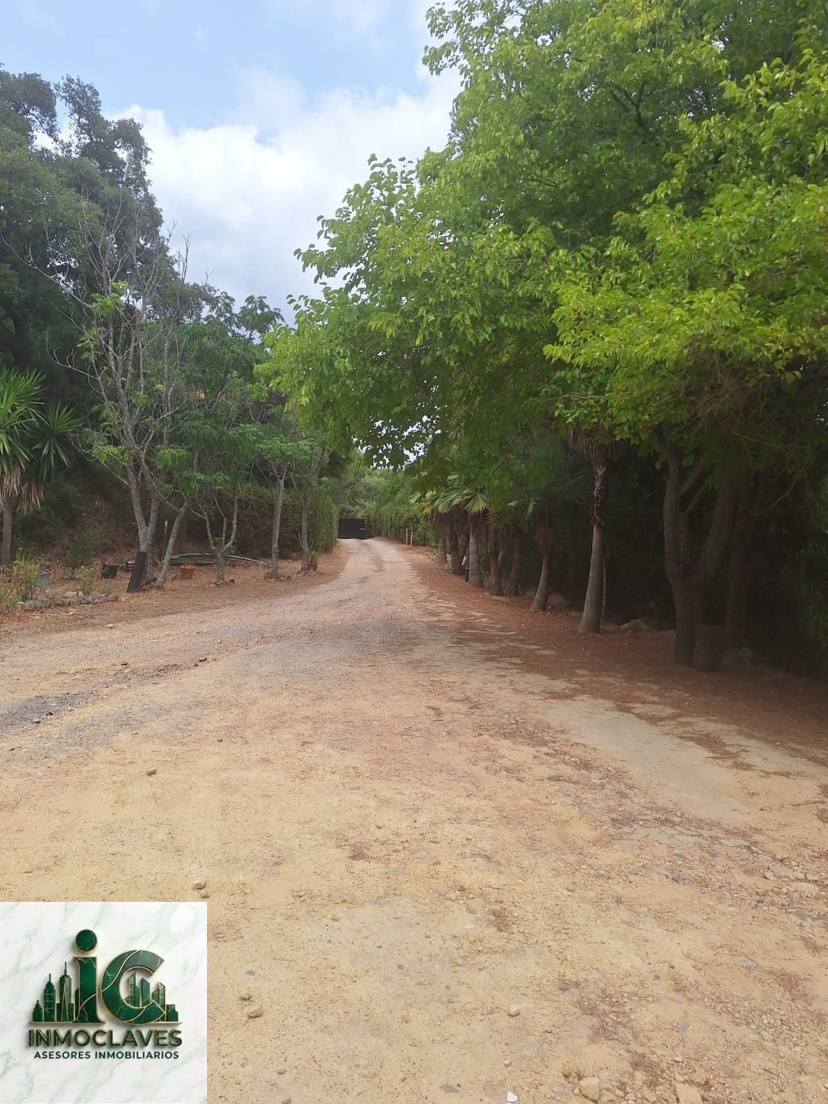 🌿 Finca ÚNICA en Benaharás — ¡Una oportunidad irrepetible! 🌿 - Foto 3