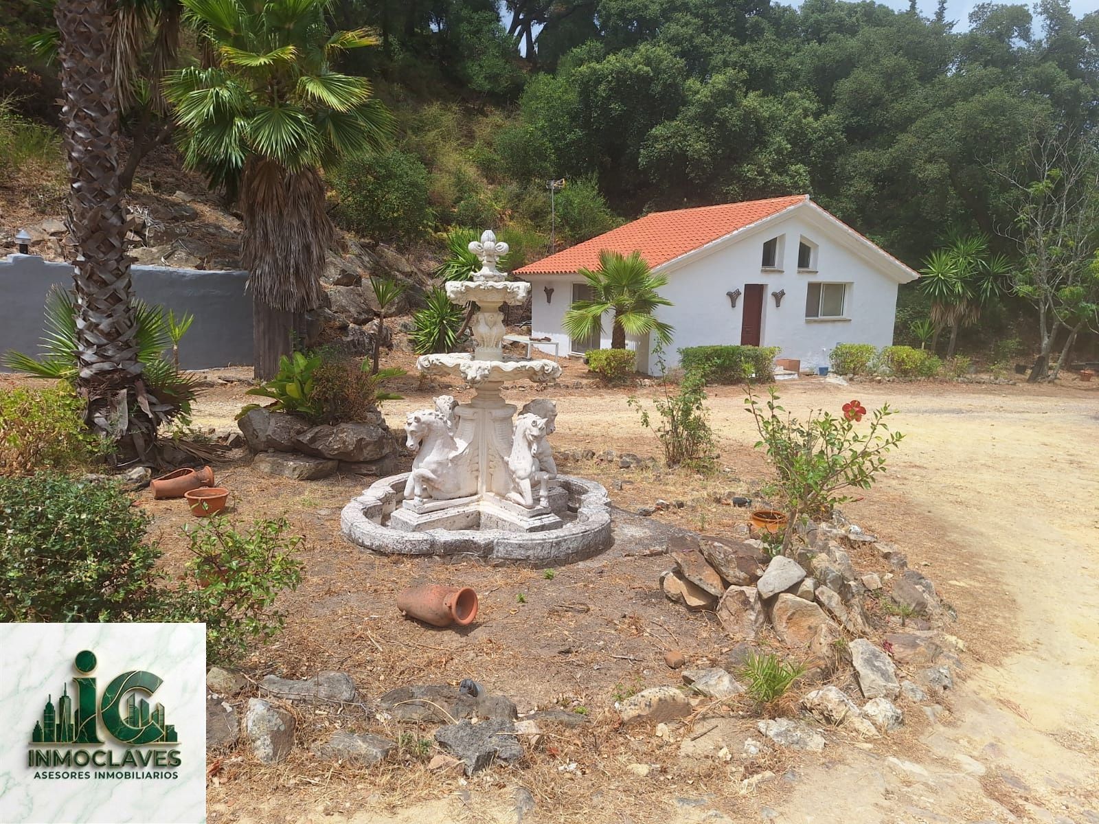 🌿 Finca ÚNICA en Benaharás — ¡Una oportunidad irrepetible! 🌿 - Foto 7