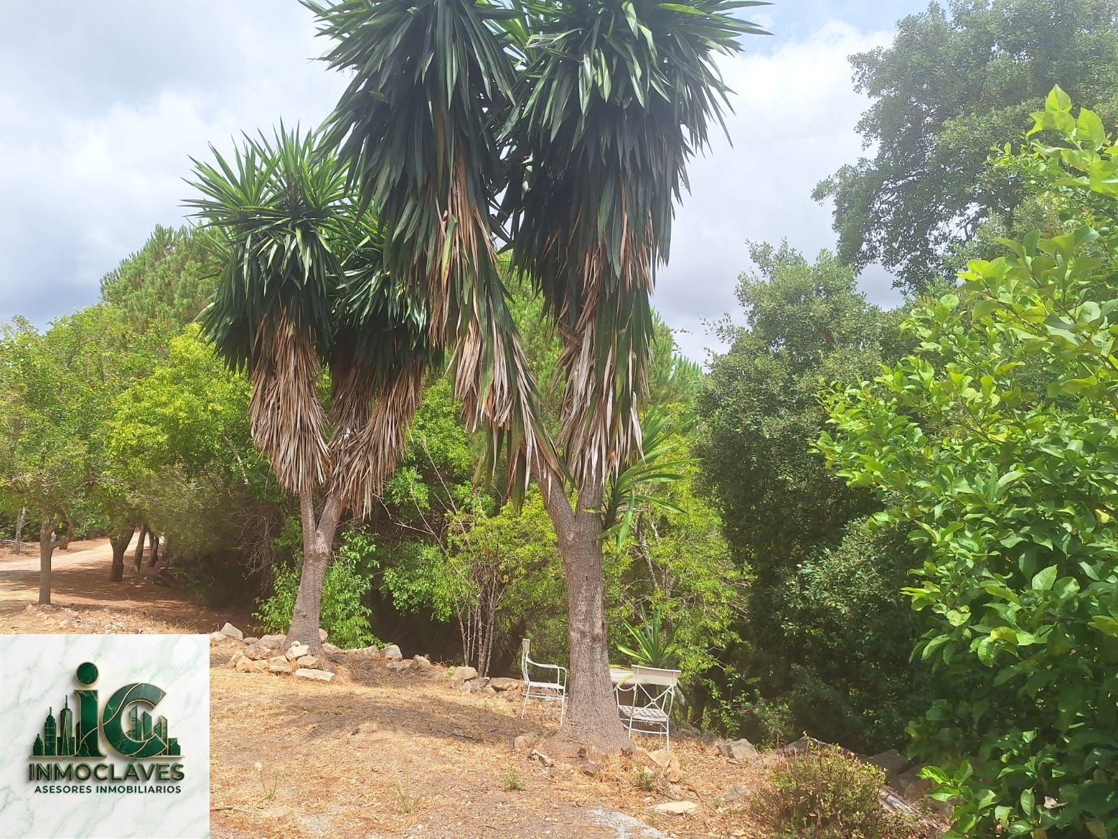 🌿 Finca ÚNICA en Benaharás — ¡Una oportunidad irrepetible! 🌿 - Foto 8