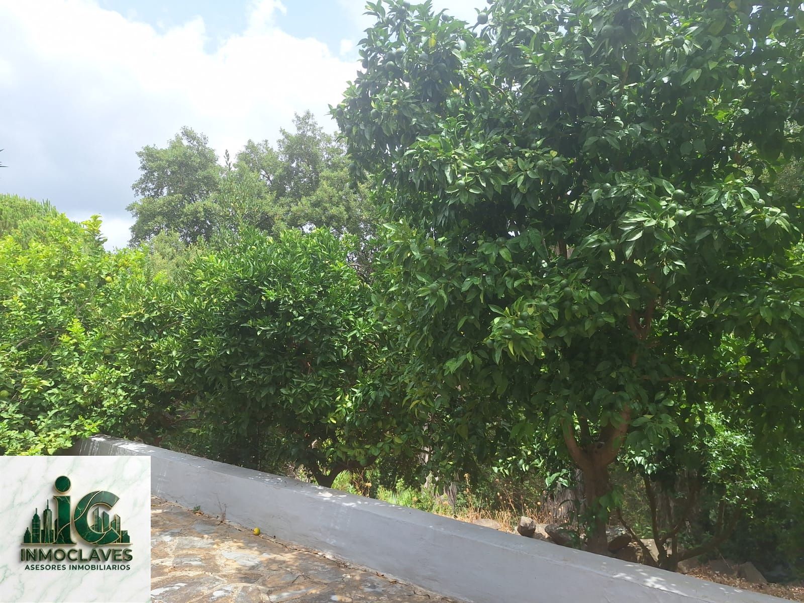 🌿 Finca ÚNICA en Benaharás — ¡Una oportunidad irrepetible! 🌿 - Foto 9