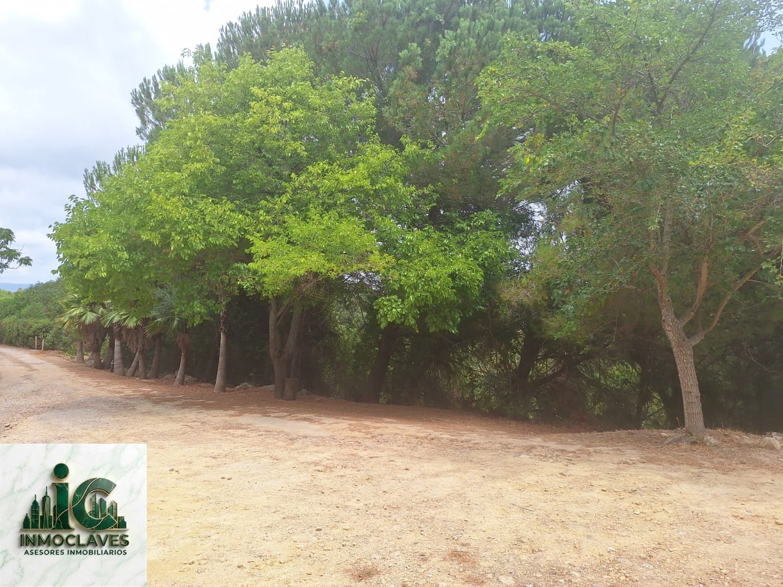 🌿 Finca ÚNICA en Benaharás — ¡Una oportunidad irrepetible! 🌿 - Foto 13