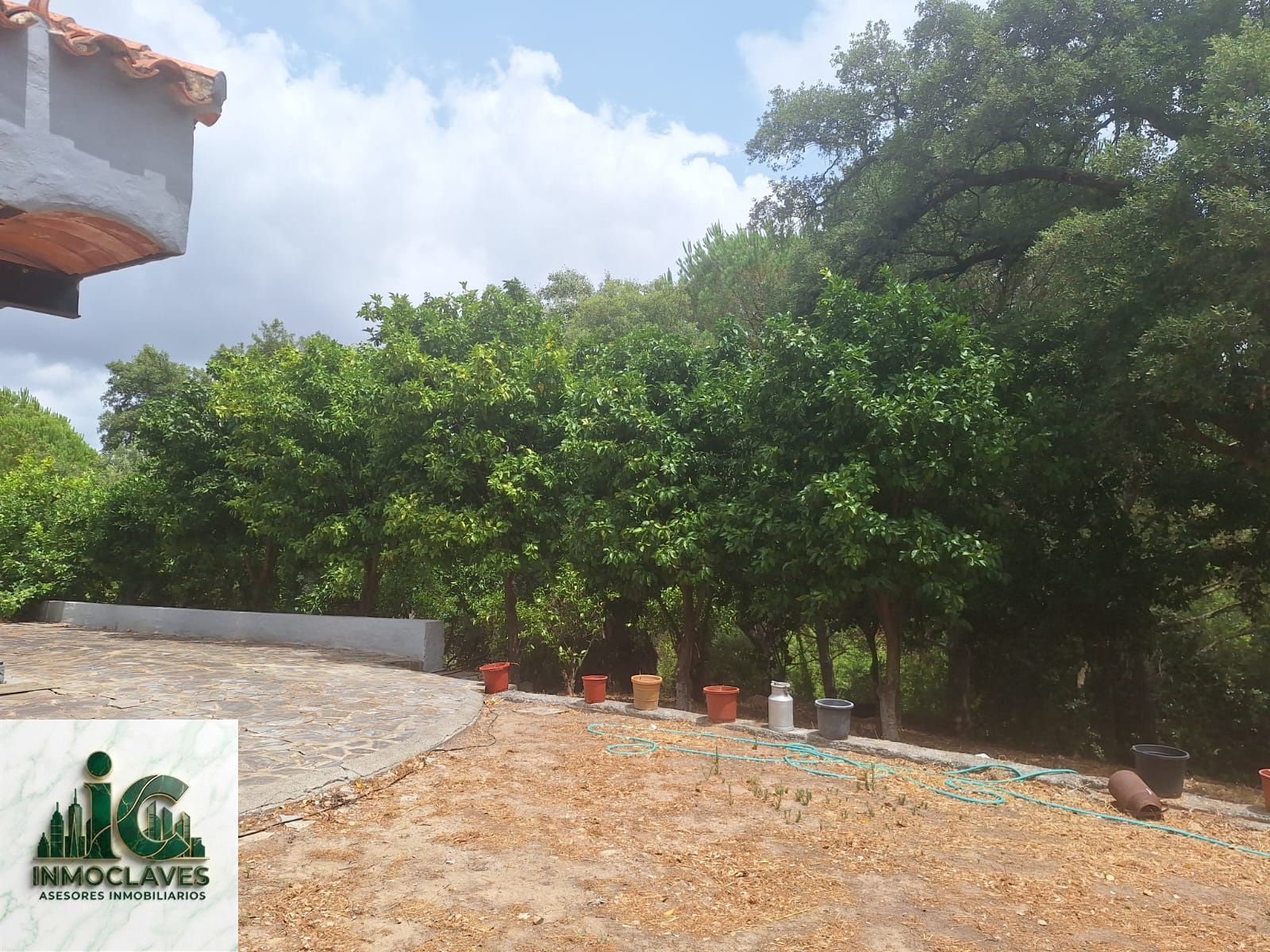 🌿 Finca ÚNICA en Benaharás — ¡Una oportunidad irrepetible! 🌿 - Foto 14