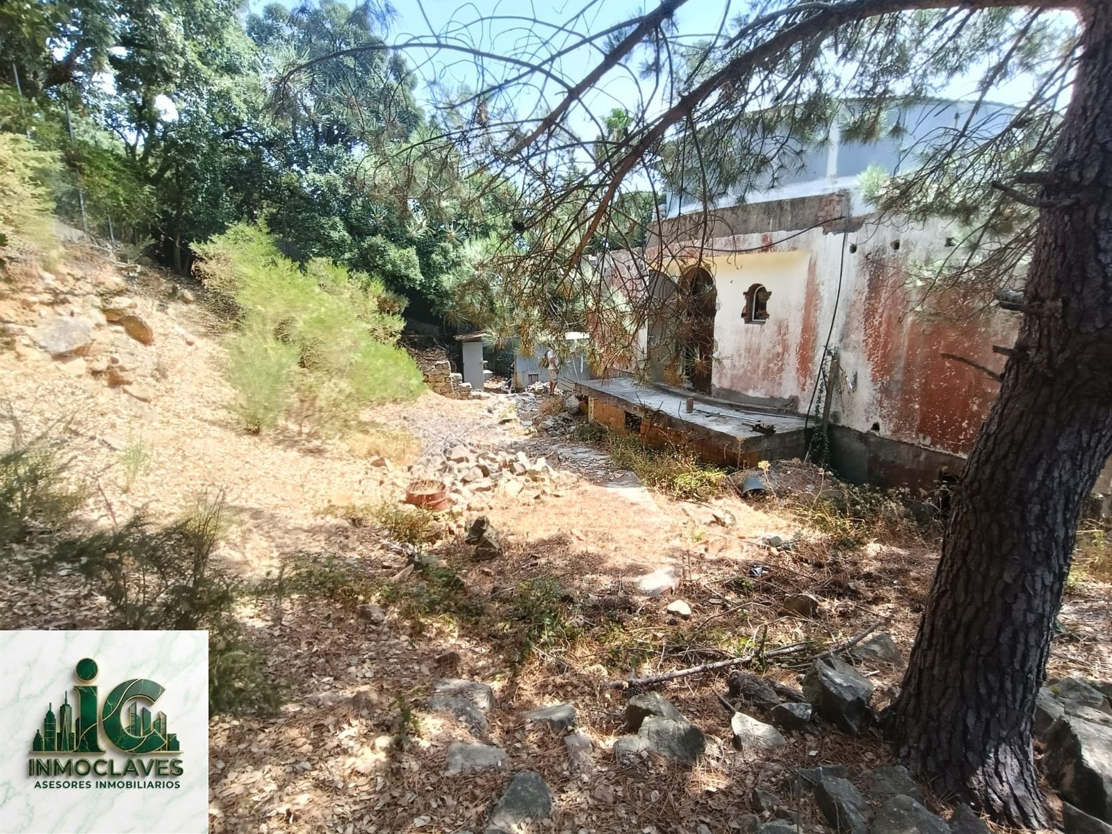 ¡Tu proyecto de vida comienza aquí! - Foto 4
