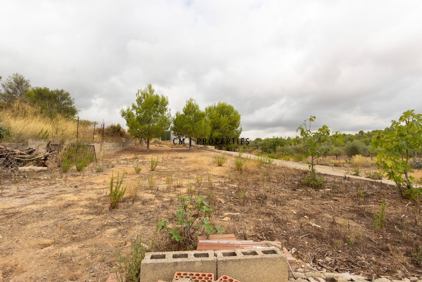 CHALET INDEPENDIENTE EN VENTA EN CHIVA CON 4.810 M² DE TERRENO RÚSTICO - Foto 5
