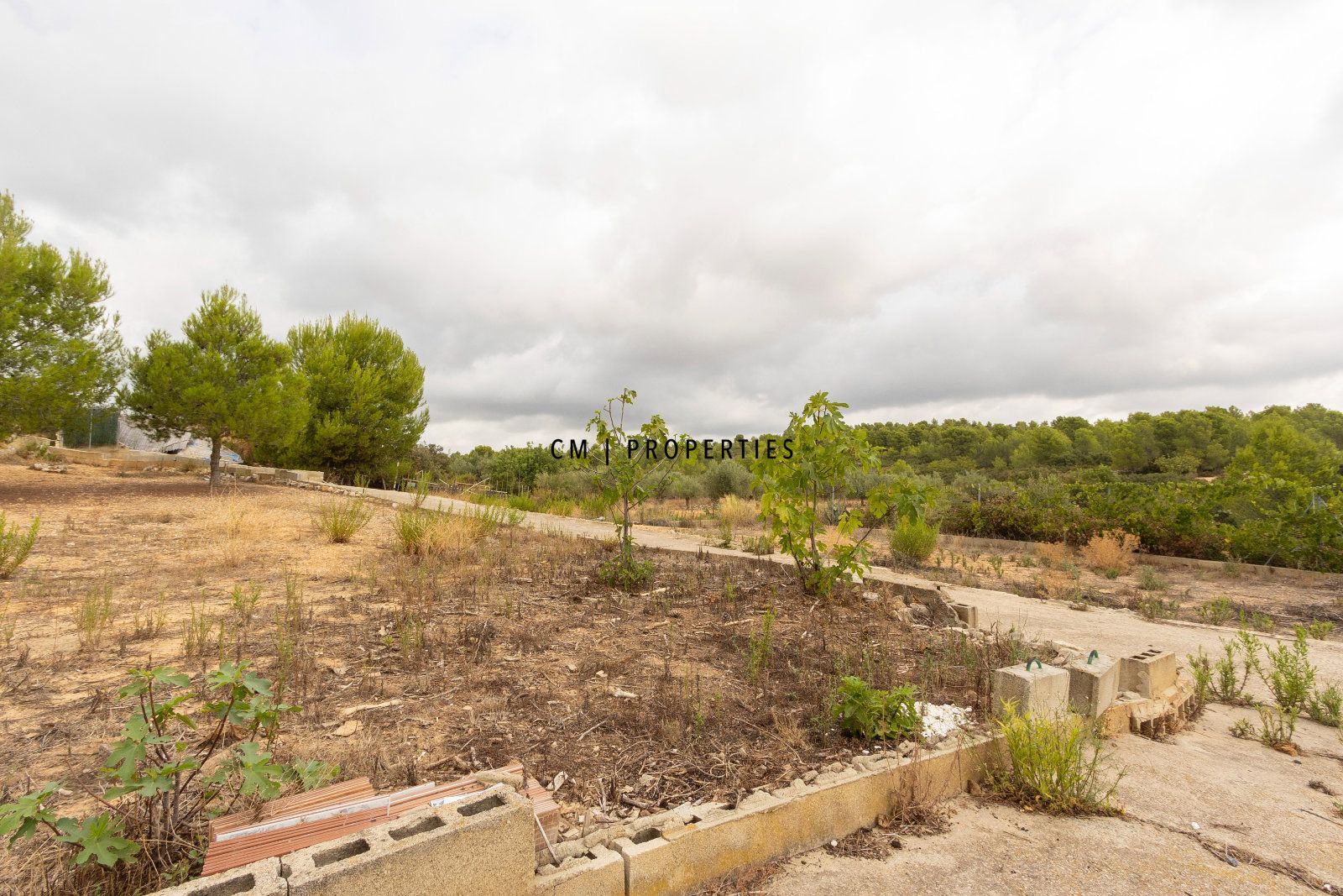CHALET INDEPENDIENTE EN VENTA EN CHIVA CON 4.810 M² DE TERRENO RÚSTICO - Foto 6