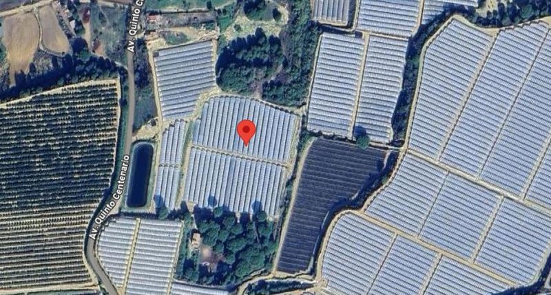 Finca Rústica en venta Moguer, Huelva. Ref: 8930. CMS Inmobiliaria