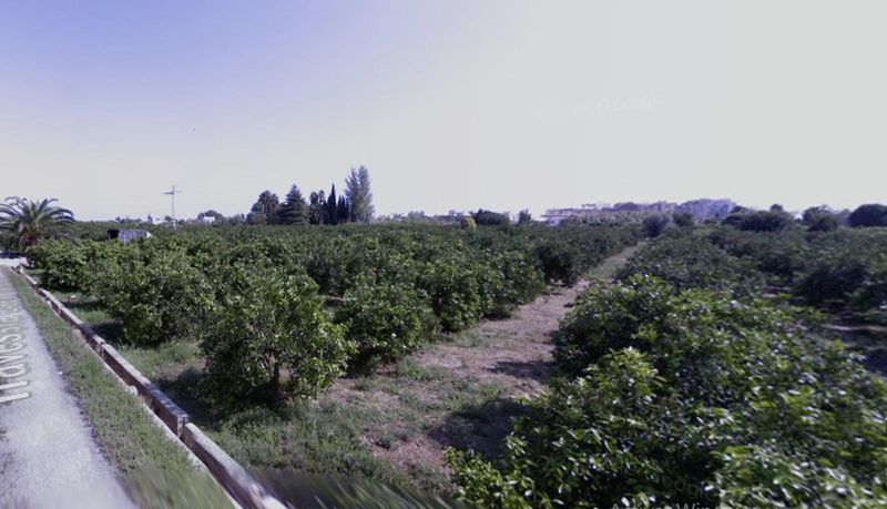 Parcela en venta Burriana, Castellón. Ref: 9174. CMS Inmobiliaria