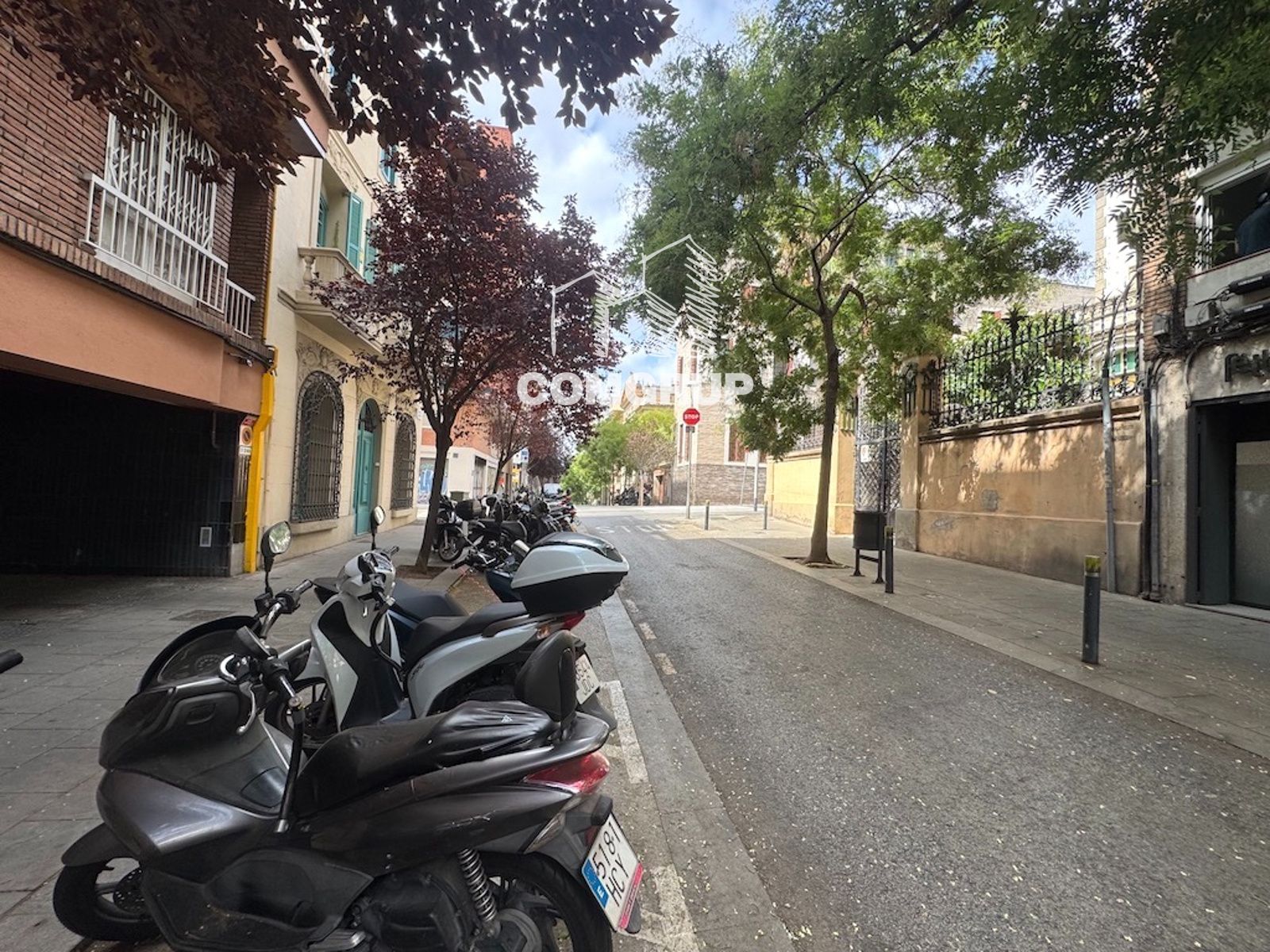vistas - Local en alquiler en el Pº Amunt, 24 de Barcelona