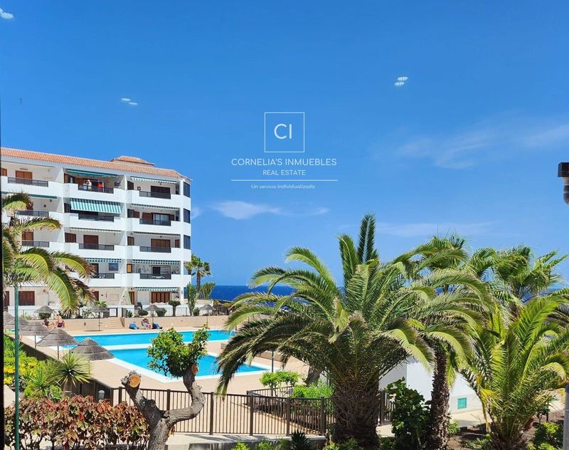 Apartamento en alquiler Arona, Santa Cruz Tenerife. Ref: 1007. Cornelia