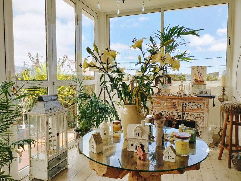 Chalet Independiente en venta San Miguel de Abona, Santa Cruz Tenerife. Ref: 1045. Cornelia