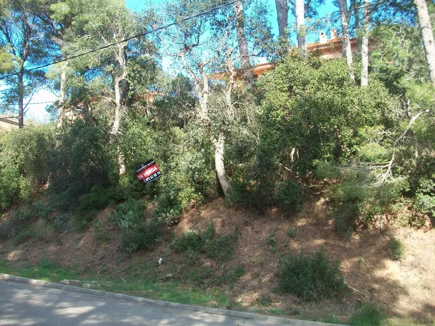 PUIGMAL 20