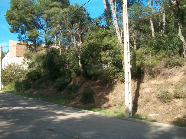 PUIGMAL 20