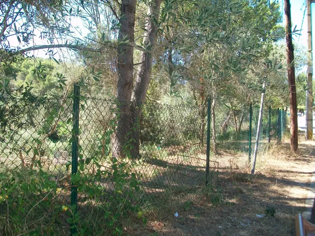 PARCELA CADÍ