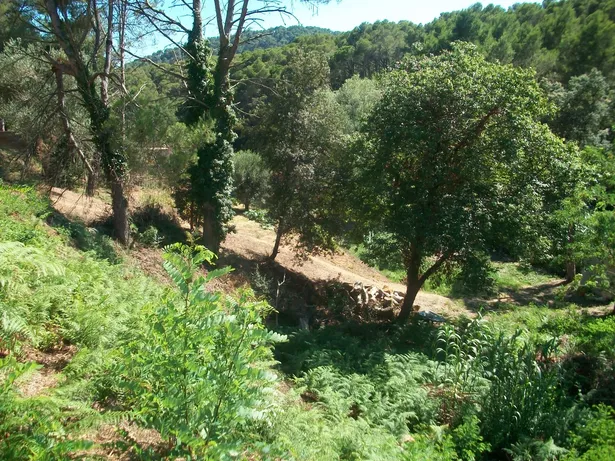 PARCELA CADÍ