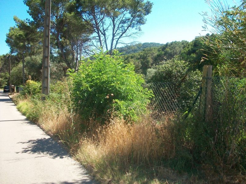 Terreno en venta Tamariu, Girona. Ref: 1053. CORREDOR MATÓ