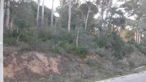 PARCELA PUIGMAL 66