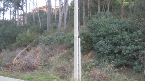 PARCELA PUIGMAL 66