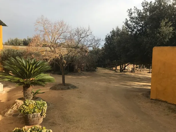 MAS ROURE - L´encant d´una masia però ubicada a pocs metres d´un centre urbà