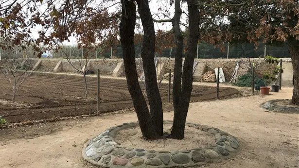 MAS ROURE - L´encant d´una masia però ubicada a pocs metres d´un centre urbà