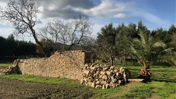 MAS ROURE - L´encant d´una masia però ubicada a pocs metres d´un centre urbà