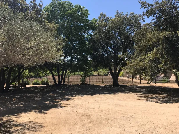 MAS ROURE - L´encant d´una masia però ubicada a pocs metres d´un centre urbà