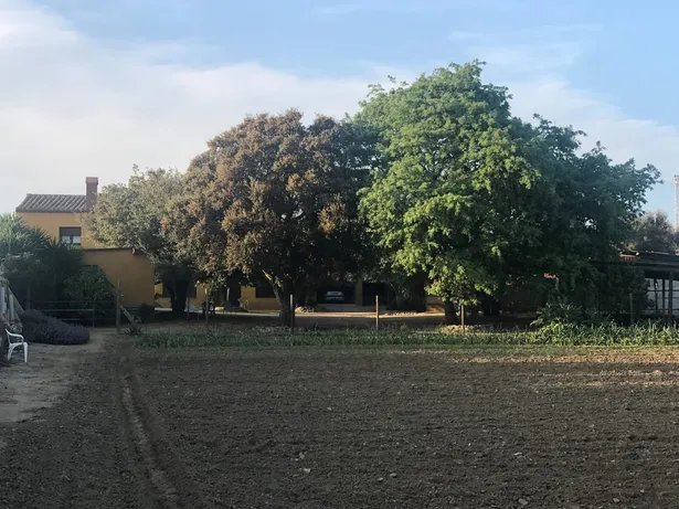 MAS ROURE - L´encant d´una masia però ubicada a pocs metres d´un centre urbà
