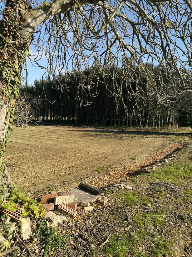MAS ROURE - L´encant d´una masia però ubicada a pocs metres d´un centre urbà