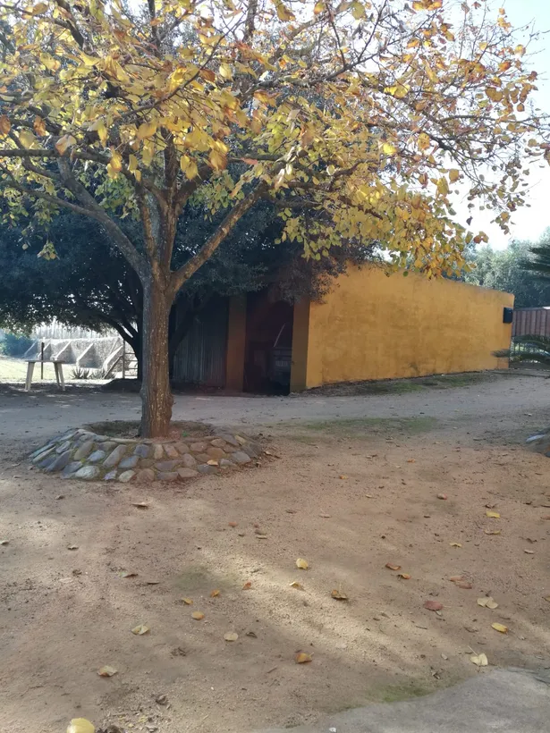 MAS ROURE - L´encant d´una masia però ubicada a pocs metres d´un centre urbà