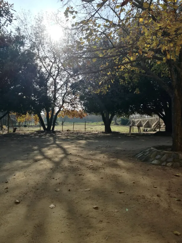 MAS ROURE - L´encant d´una masia però ubicada a pocs metres d´un centre urbà