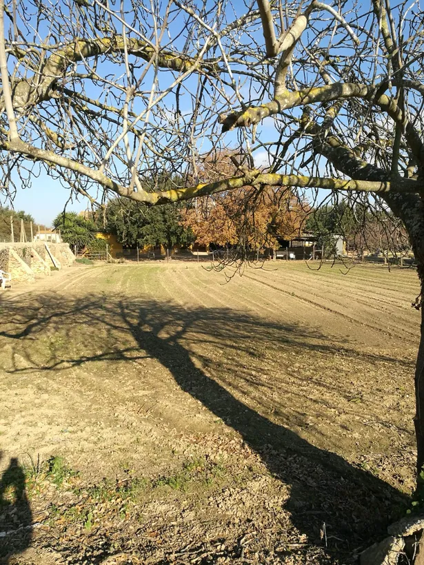 MAS ROURE - L´encant d´una masia però ubicada a pocs metres d´un centre urbà