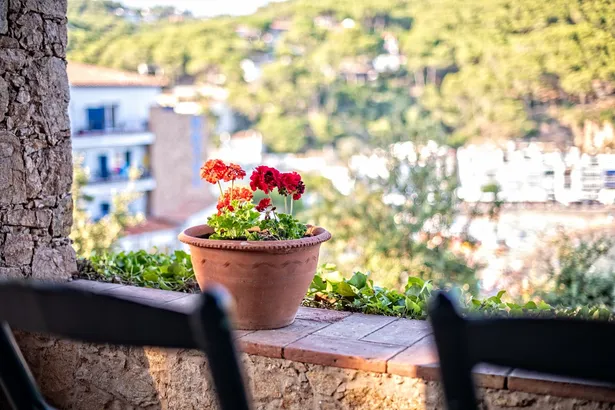 ES PORTIÓ - espectacular villa, situada en un rincón paradisíaco de la Costa Brava, con acceso directo al mar.