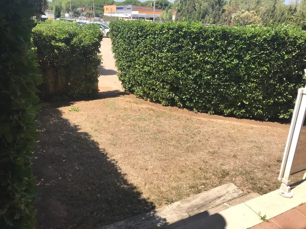 Port Pals · Primera linea de mar planta baixa amb jardí